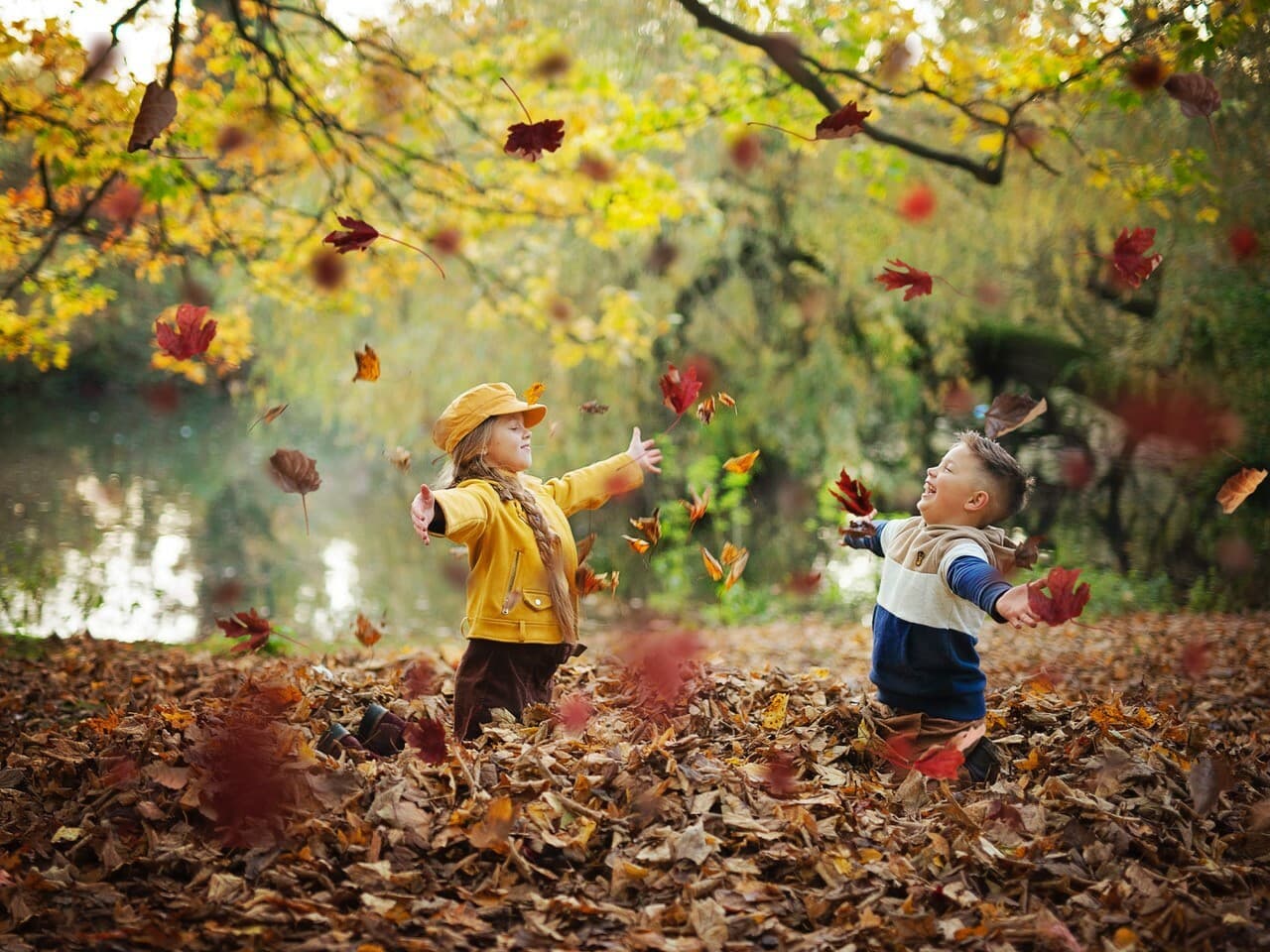 Autumn Days by Andrea Cseke