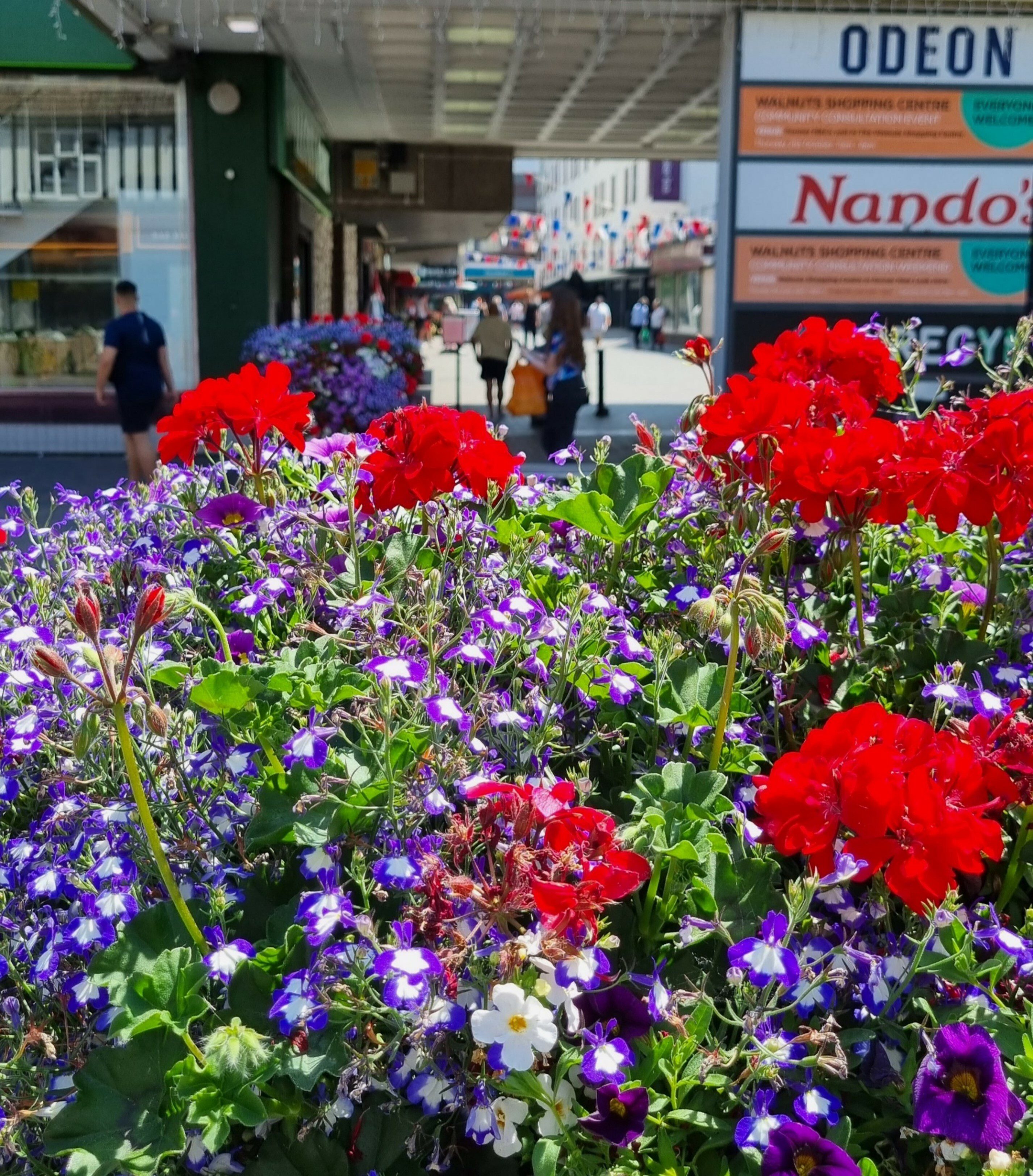 Flower cubes lo lo res