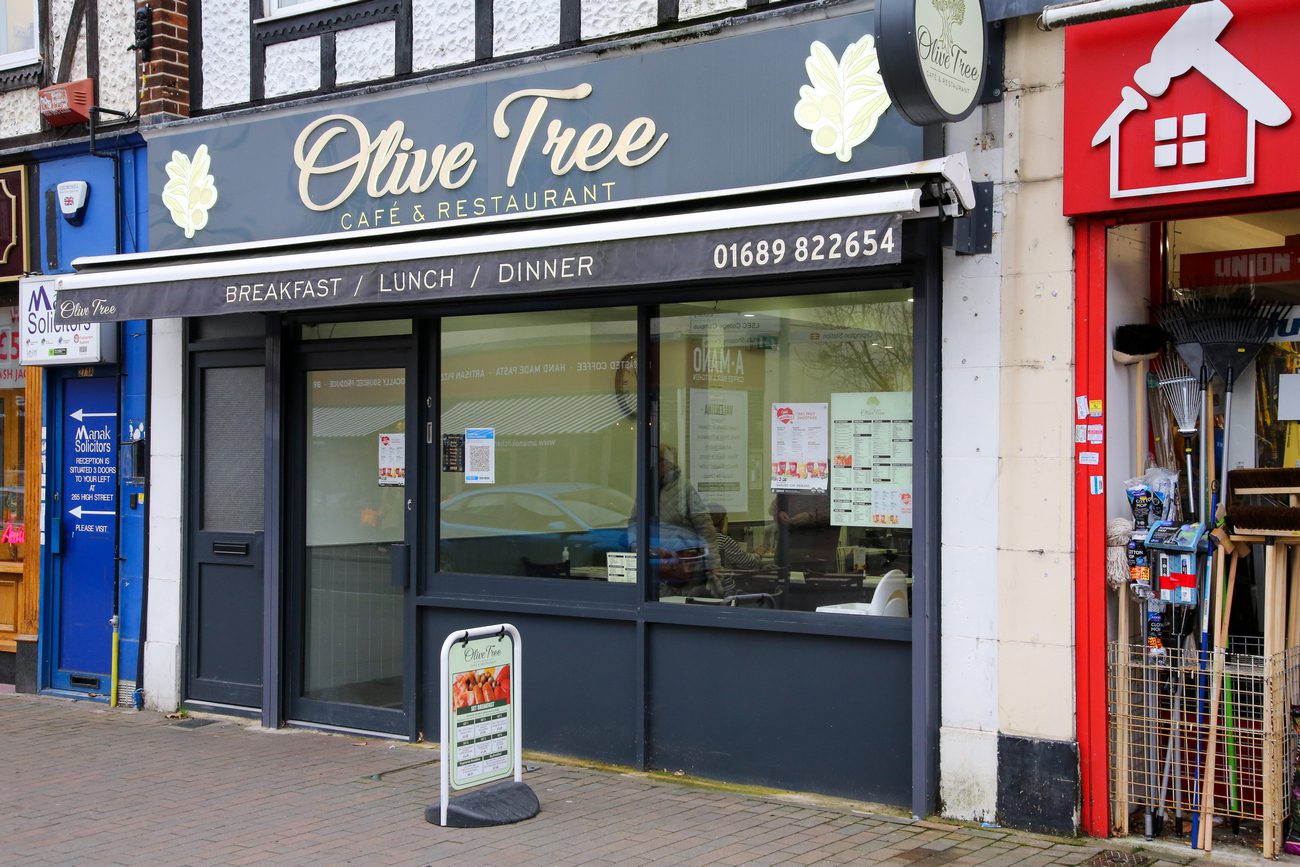 Olive Tree