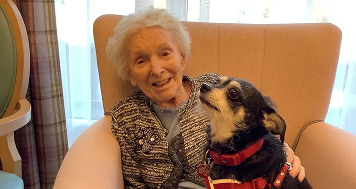 ‘Round of a-paws’, Orpington care home hires canine relations manager