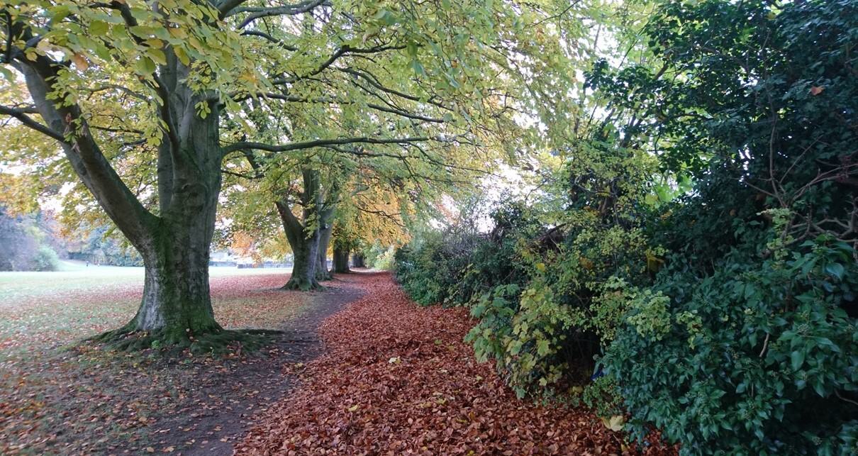 Friends of Goddington Park awarded Platinum Jubilee Park's Grant