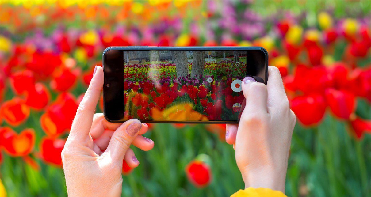 Orpington Photography Competition 2024