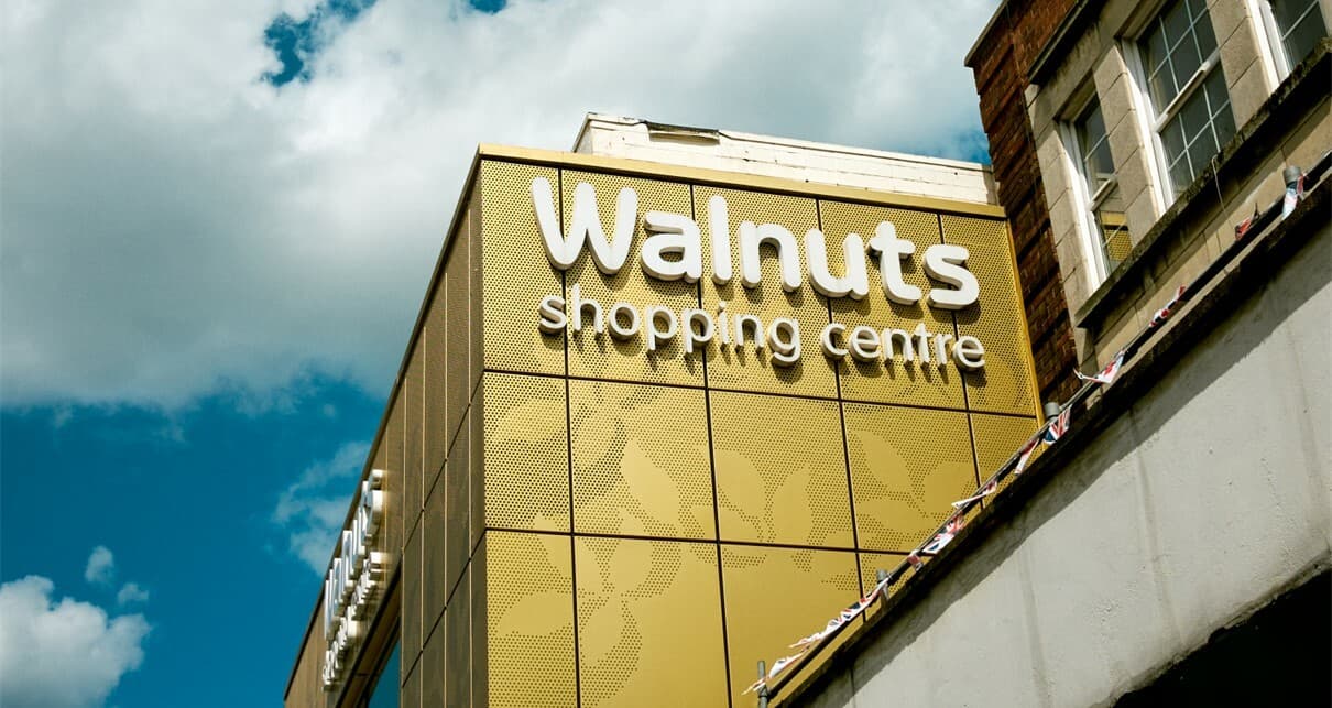 Redcliff announces launch of new Walnuts project